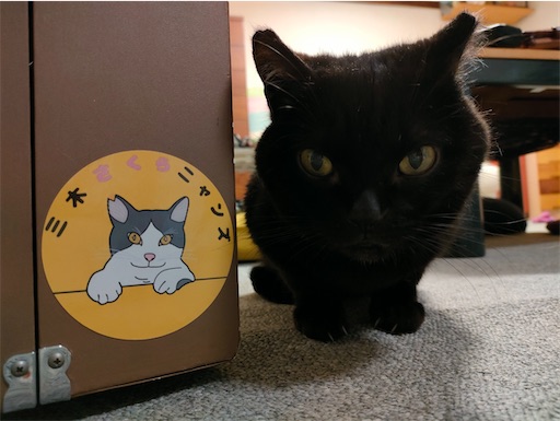 猫のシール お届け♡ - 黒猫の一日一幸
