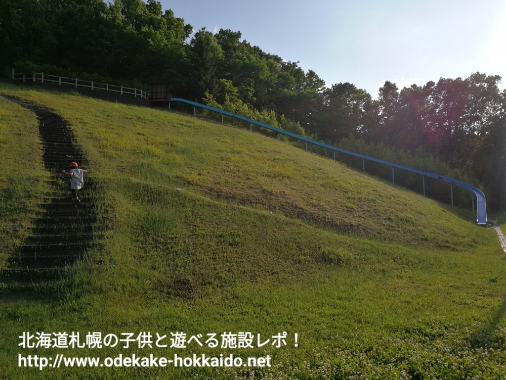 f:id:coohimenana:20170803213253j:plain