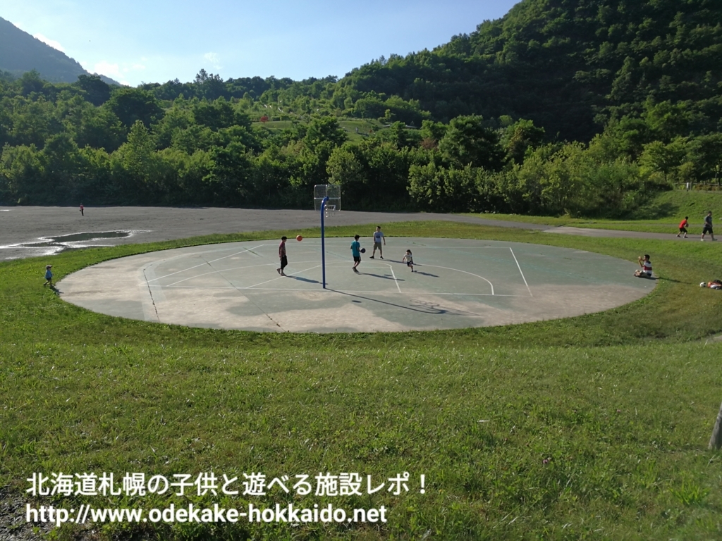 f:id:coohimenana:20170804213535j:plain