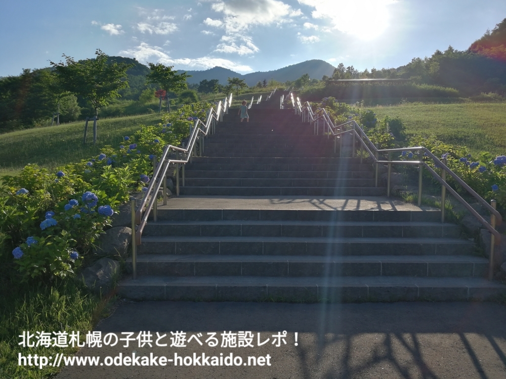 f:id:coohimenana:20170804215601j:plain