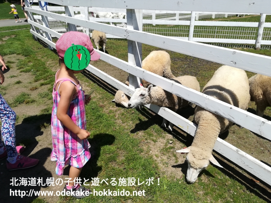 f:id:coohimenana:20170814155344j:plain