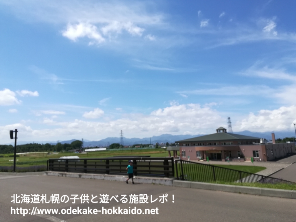f:id:coohimenana:20170818223725j:plain