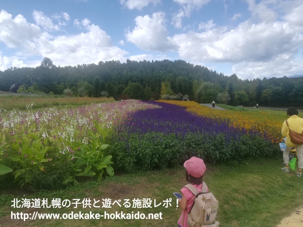 f:id:coohimenana:20170920175304j:plain