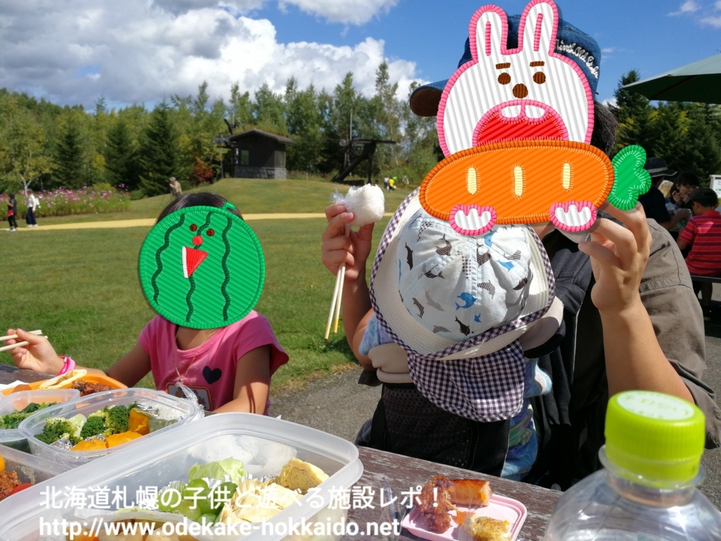 f:id:coohimenana:20170920212926j:plain