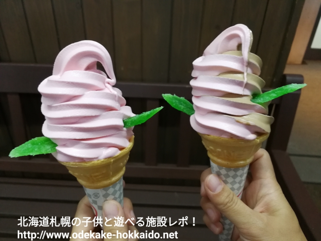 f:id:coohimenana:20170921133544j:plain