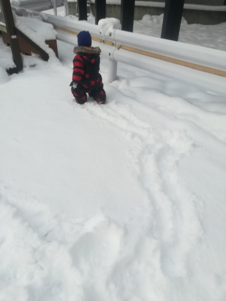 f:id:coohimenana:20171121233609j:plain