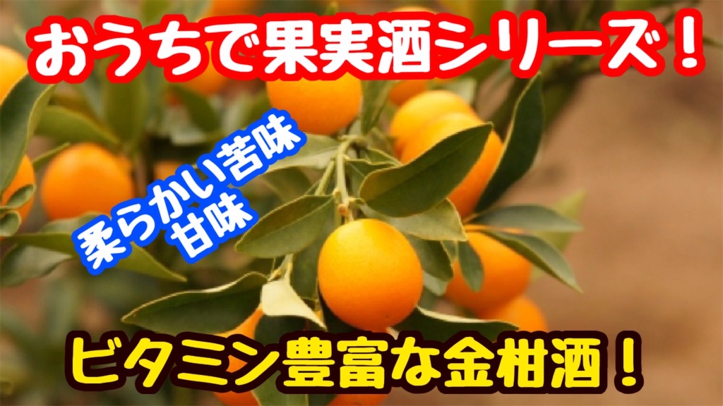 レシピ おうちで果実酒シリーズ 金柑酒 板前パンダの家庭料理 和食歴16年の調理師が全てを伝えます レシピ おうちで果実酒シリーズ 金柑酒 板前パンダの家庭料理 和食歴16年の調理師が全てを伝えます