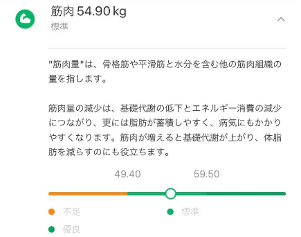 筋肉量のグラフ