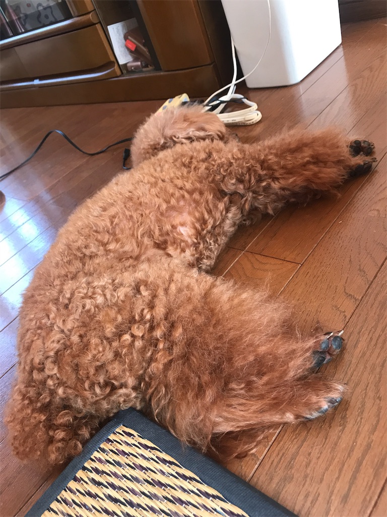 f:id:cookiegenki:20190915095353j:image