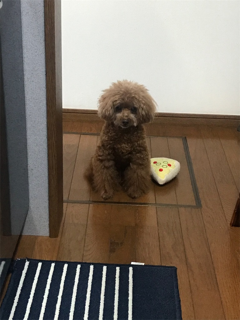 f:id:cookiegenki:20190928005731j:image