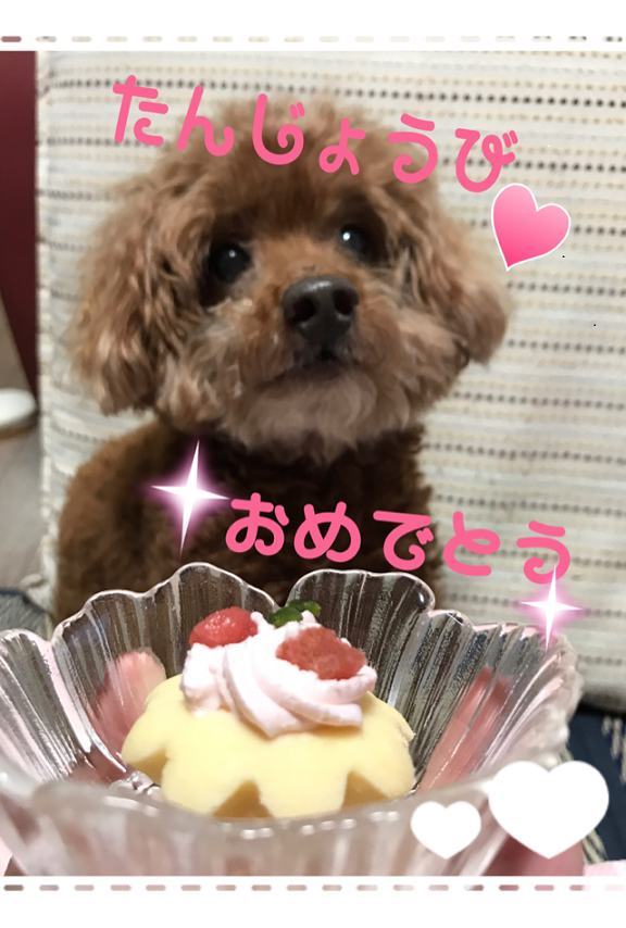 f:id:cookiegenki:20200414115715p:plain
