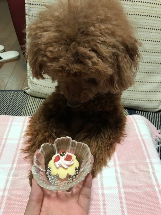 f:id:cookiegenki:20200414121818p:plain