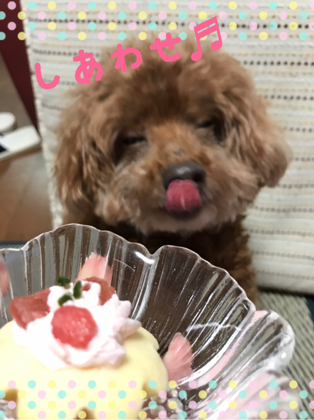 f:id:cookiegenki:20200414121926p:plain