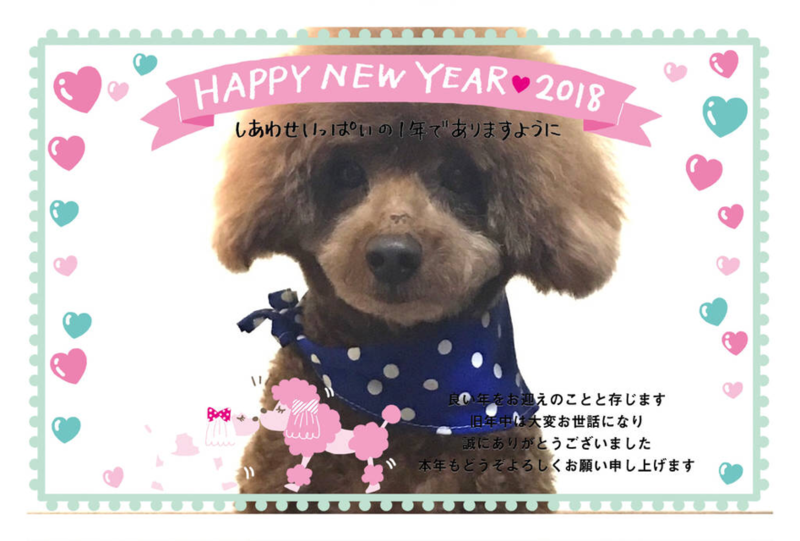 f:id:cookiegenki:20200415165019p:plain