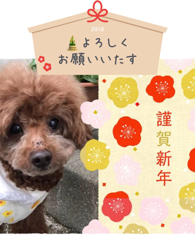 f:id:cookiegenki:20200415165124p:plain