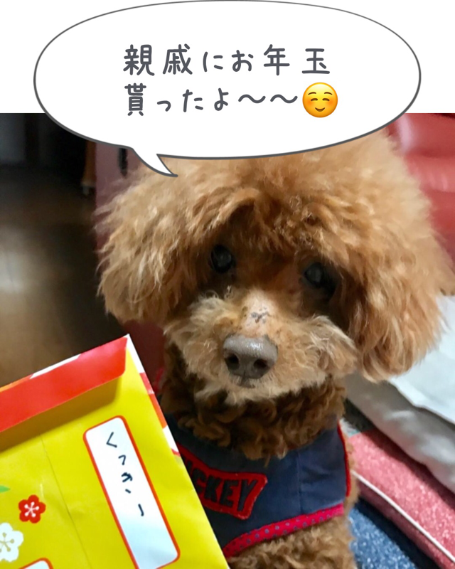 f:id:cookiegenki:20200415183327p:plain