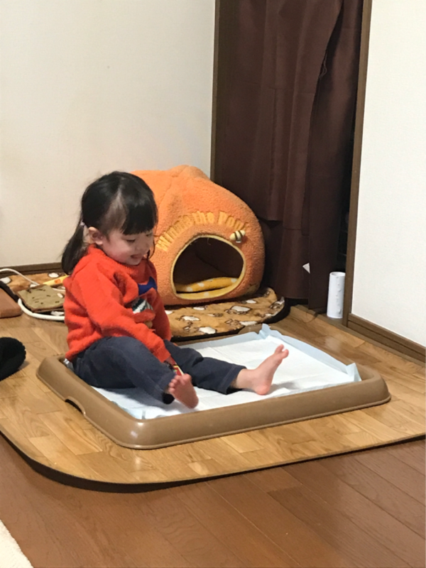 f:id:cookiegenki:20200415184138p:plain