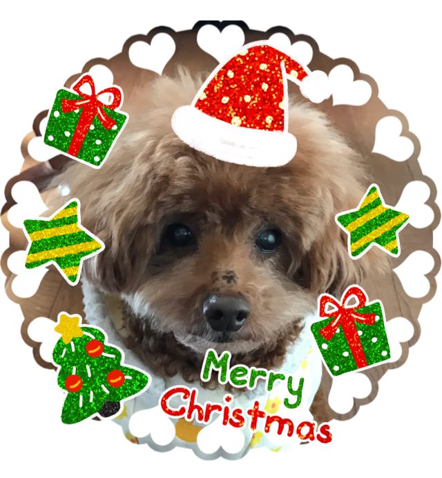 f:id:cookiegenki:20200417171811p:plain