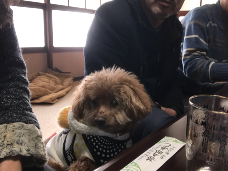 f:id:cookiegenki:20200417173035p:plain