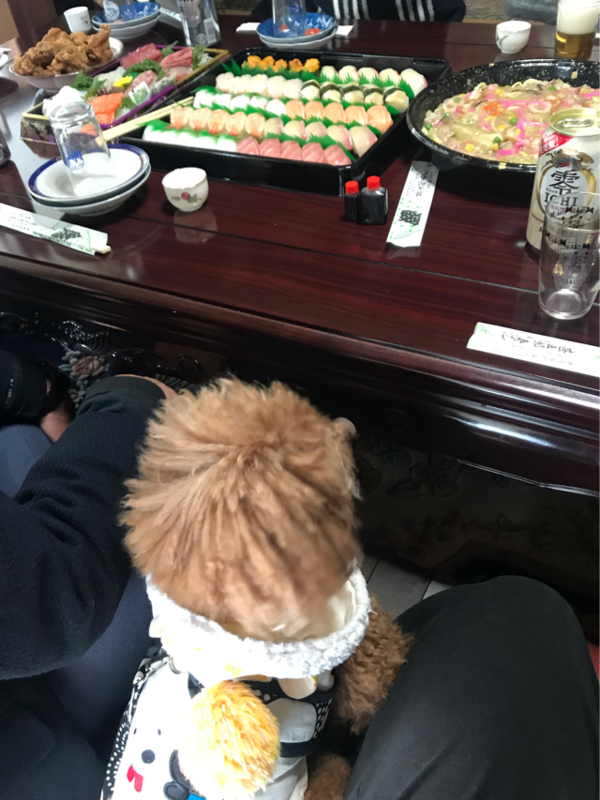 f:id:cookiegenki:20200417173041p:plain