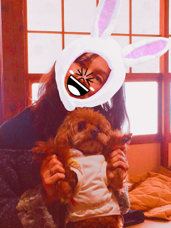f:id:cookiegenki:20200417173047p:plain