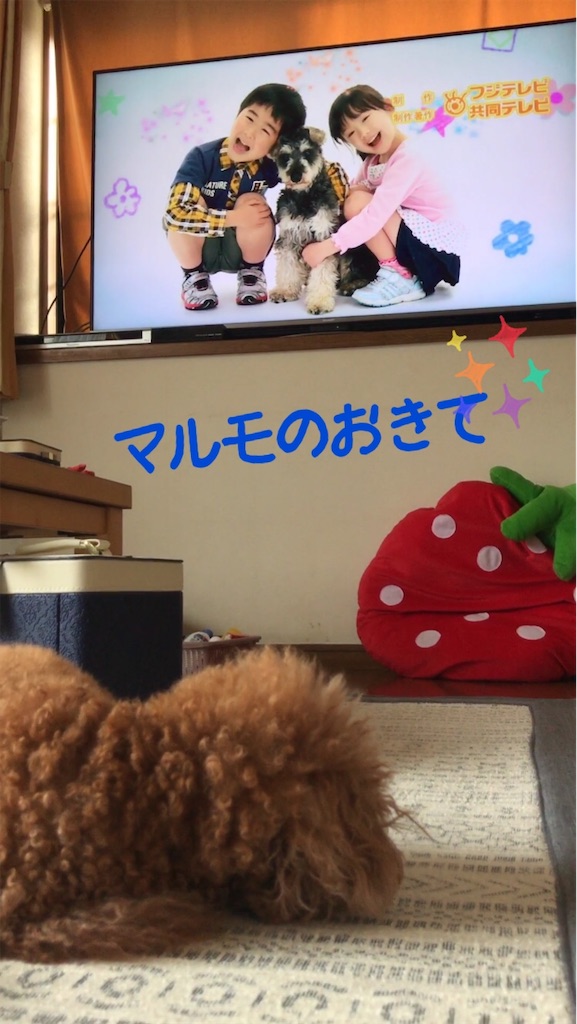 f:id:cookiegenki:20200807150024j:image f:id:cookiegenki:20200807150024j:image