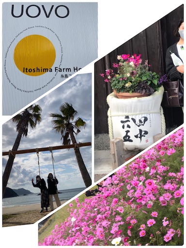 f:id:cookiegenki:20201031123757j:image