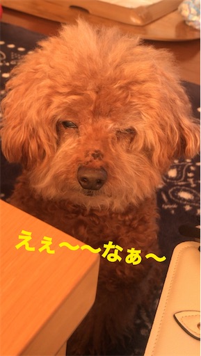 f:id:cookiegenki:20201111095042j:image