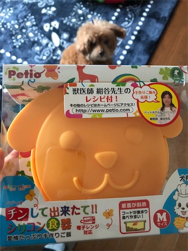 f:id:cookiegenki:20201111095152j:image