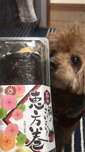 f:id:cookiegenki:20210202230452p:image