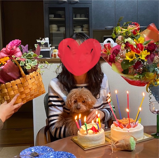 f:id:cookiegenki:20210429221315j:image f:id:cookiegenki:20210429221315j:image