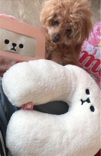 f:id:cookiegenki:20210429222014j:image f:id:cookiegenki:20210429222014j:image