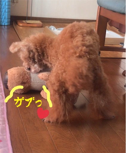 f:id:cookiegenki:20210810104707j:image