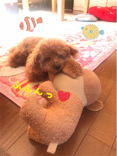 f:id:cookiegenki:20210810105139j:image