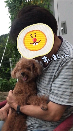 f:id:cookiegenki:20210902123341j:image