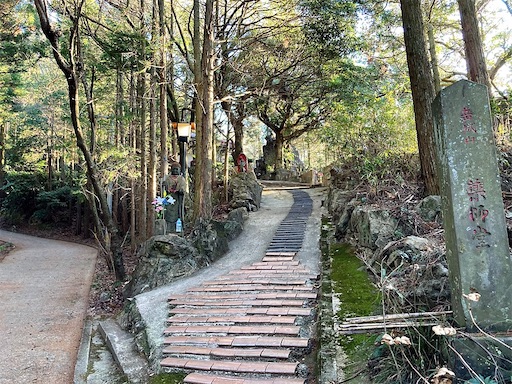 f:id:cookiegenki:20210907153750j:image