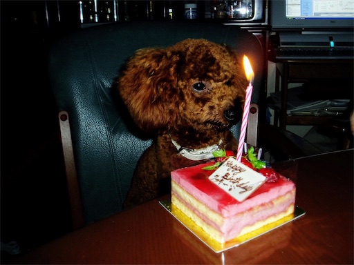 f:id:cookiegenki:20210929151003j:image