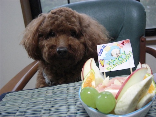 f:id:cookiegenki:20210929151901j:image