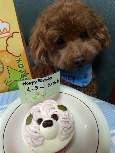 f:id:cookiegenki:20210929204304j:image