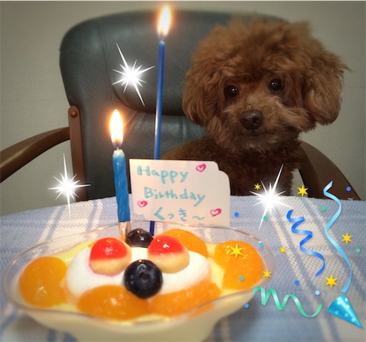 f:id:cookiegenki:20210929204307j:image