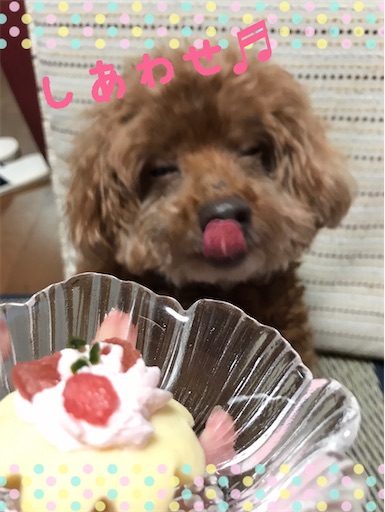 f:id:cookiegenki:20210929205406j:image