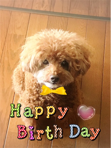 f:id:cookiegenki:20210929213557j:image