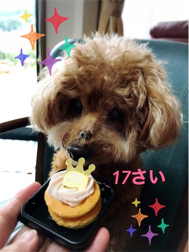 f:id:cookiegenki:20210930170644j:image