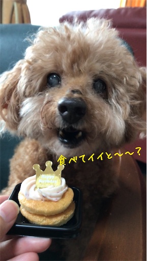 f:id:cookiegenki:20210930171023j:image