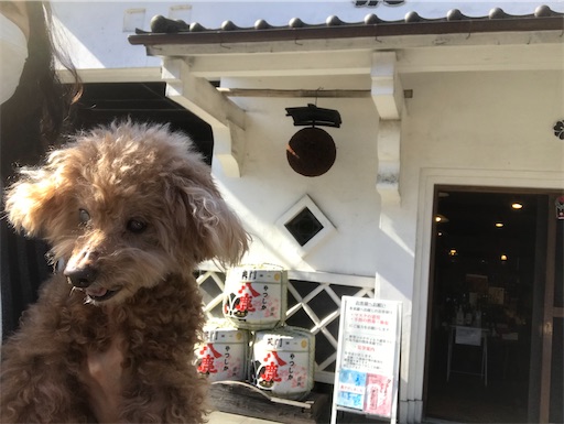 f:id:cookiegenki:20211121194143j:image