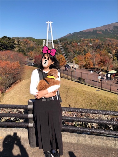 f:id:cookiegenki:20211121204149j:image