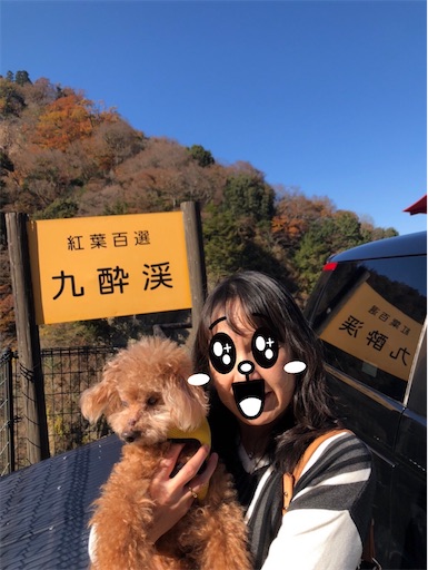 f:id:cookiegenki:20211121204151j:image