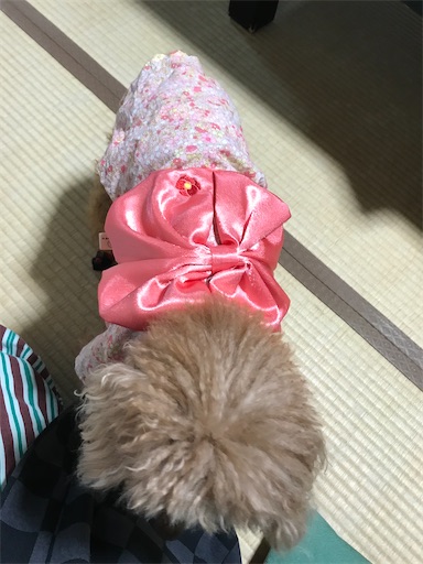 f:id:cookiegenki:20211121231929j:image