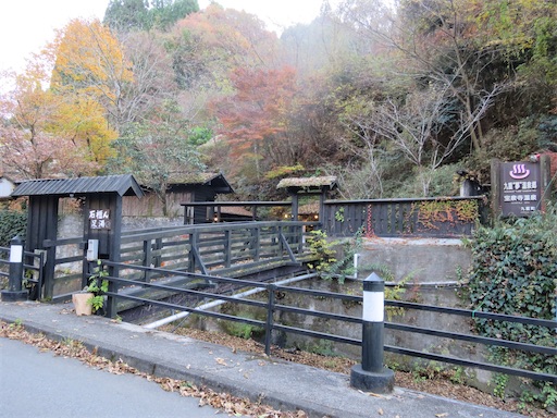 f:id:cookiegenki:20211122162704j:image