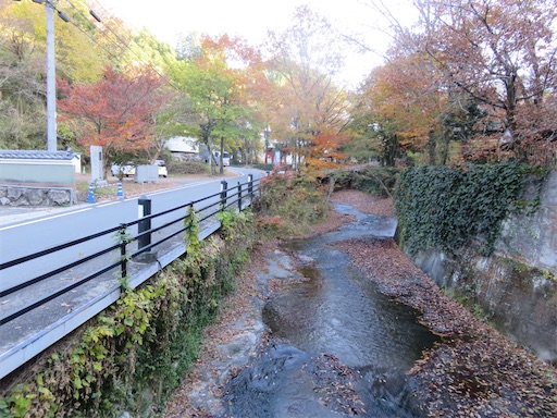 f:id:cookiegenki:20211122162706j:image
